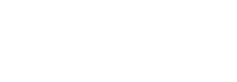 logo white version